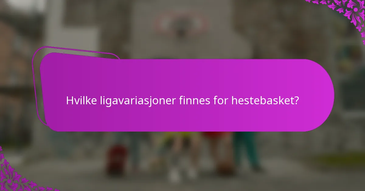 Hvilke ligavariasjoner finnes for hestebasket?